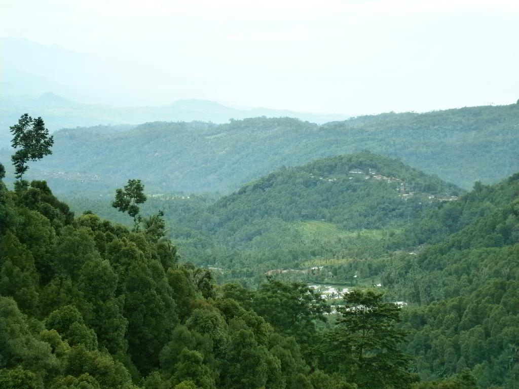 Munduk Sari Resort Экстерьер фото